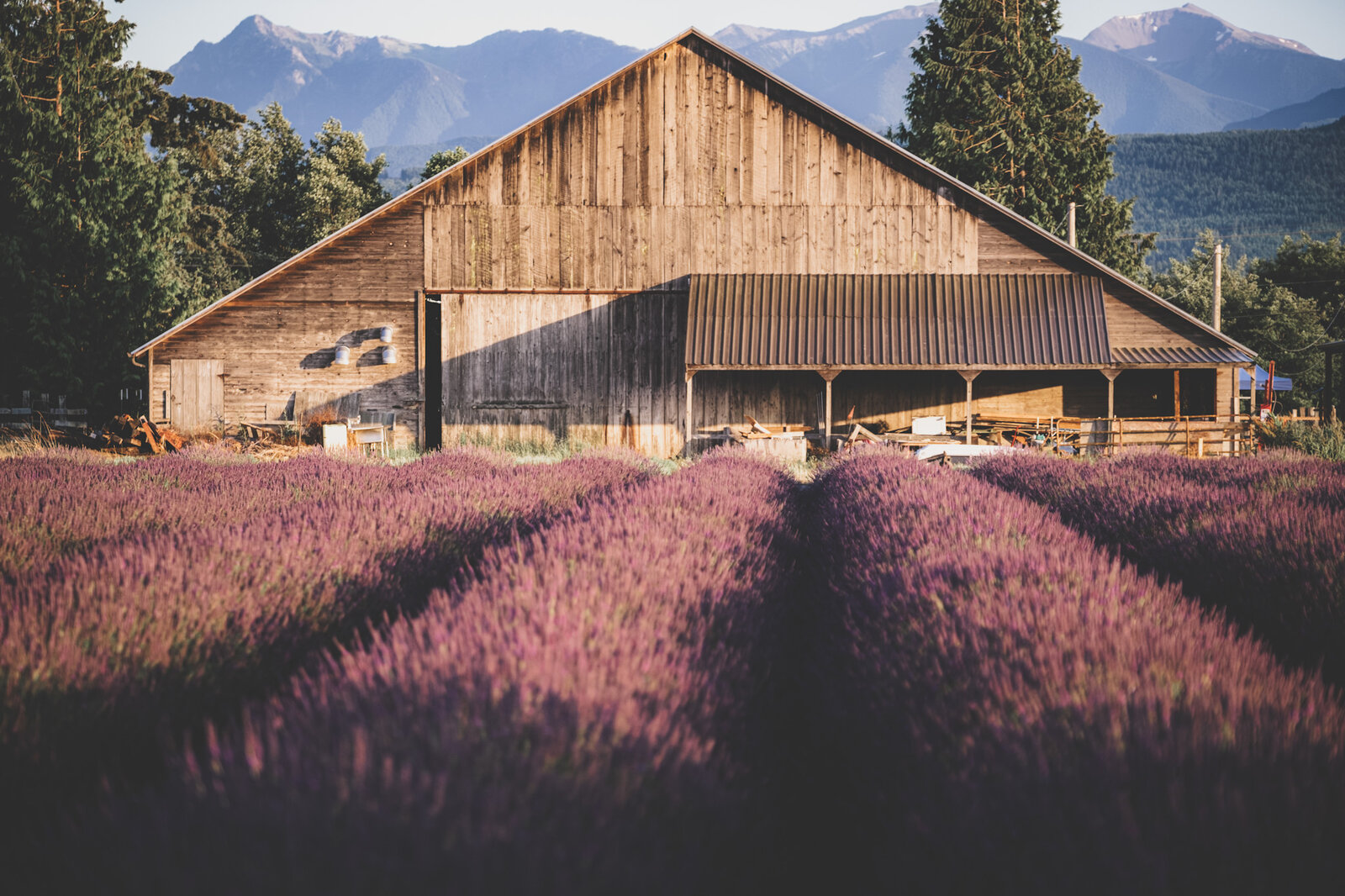 B&B Family Farm