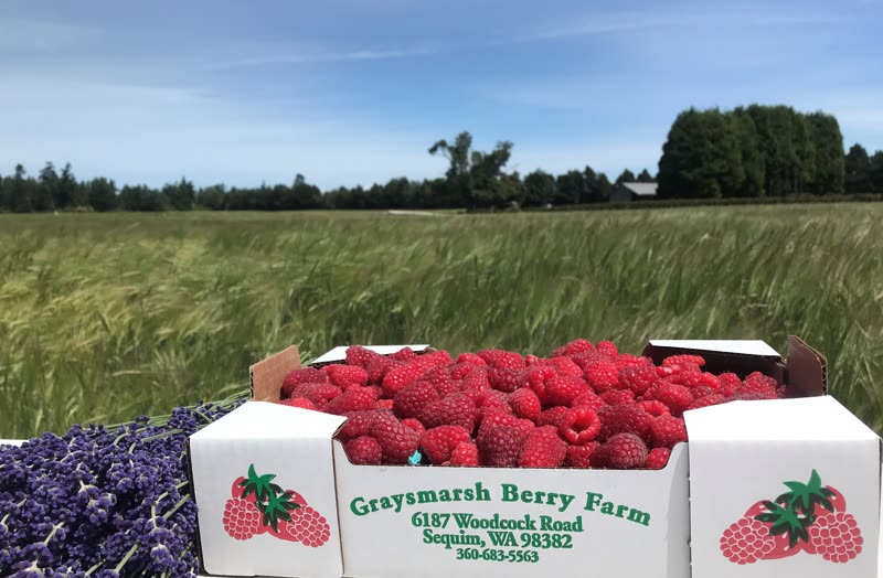 Graysmarsh Farm photo 6