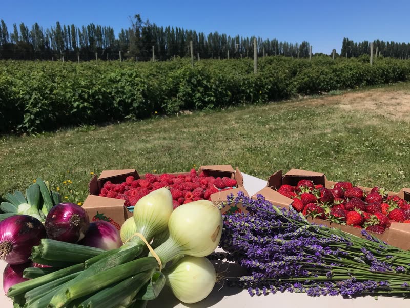 Graysmarsh Farm photo 7