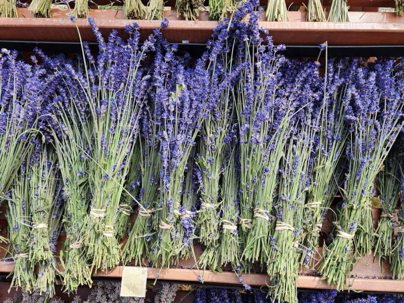 Lit Lavender photo 9