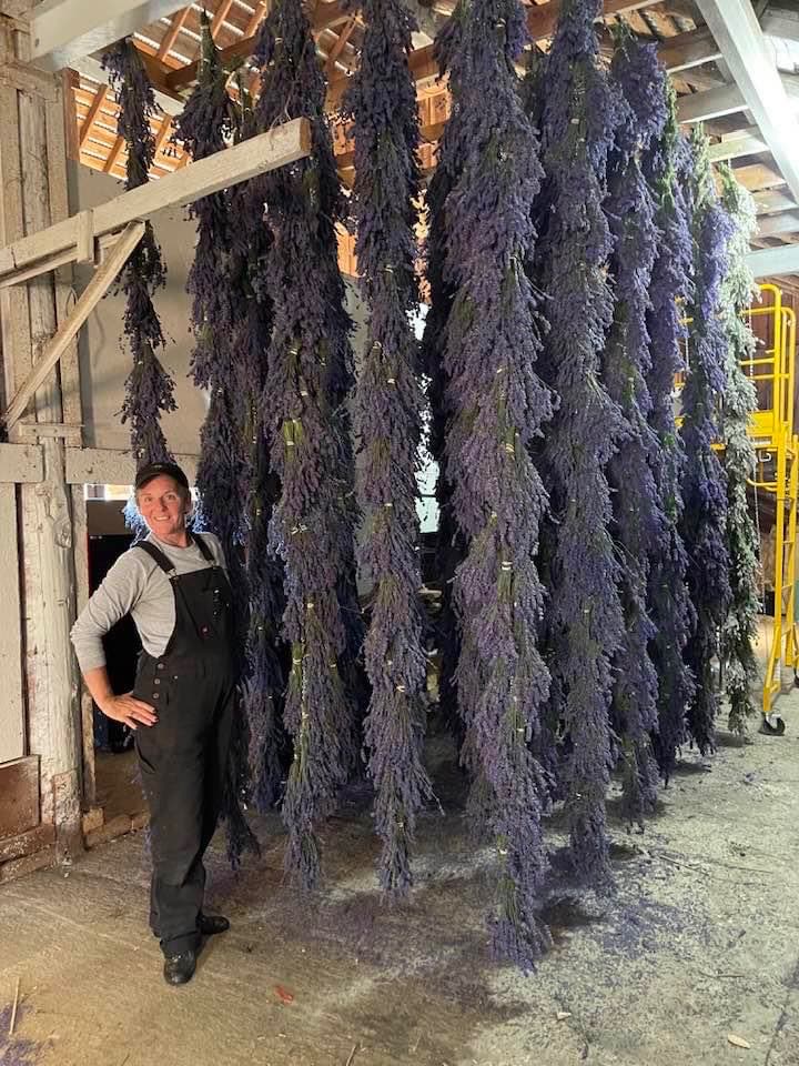 Old Barn Lavender Company photo 10