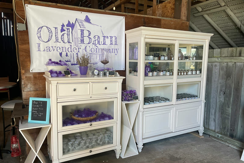 Old Barn Lavender Company photo 3