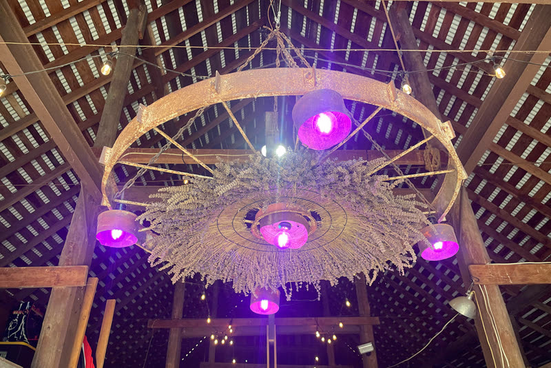 Old Barn Lavender Company photo 5