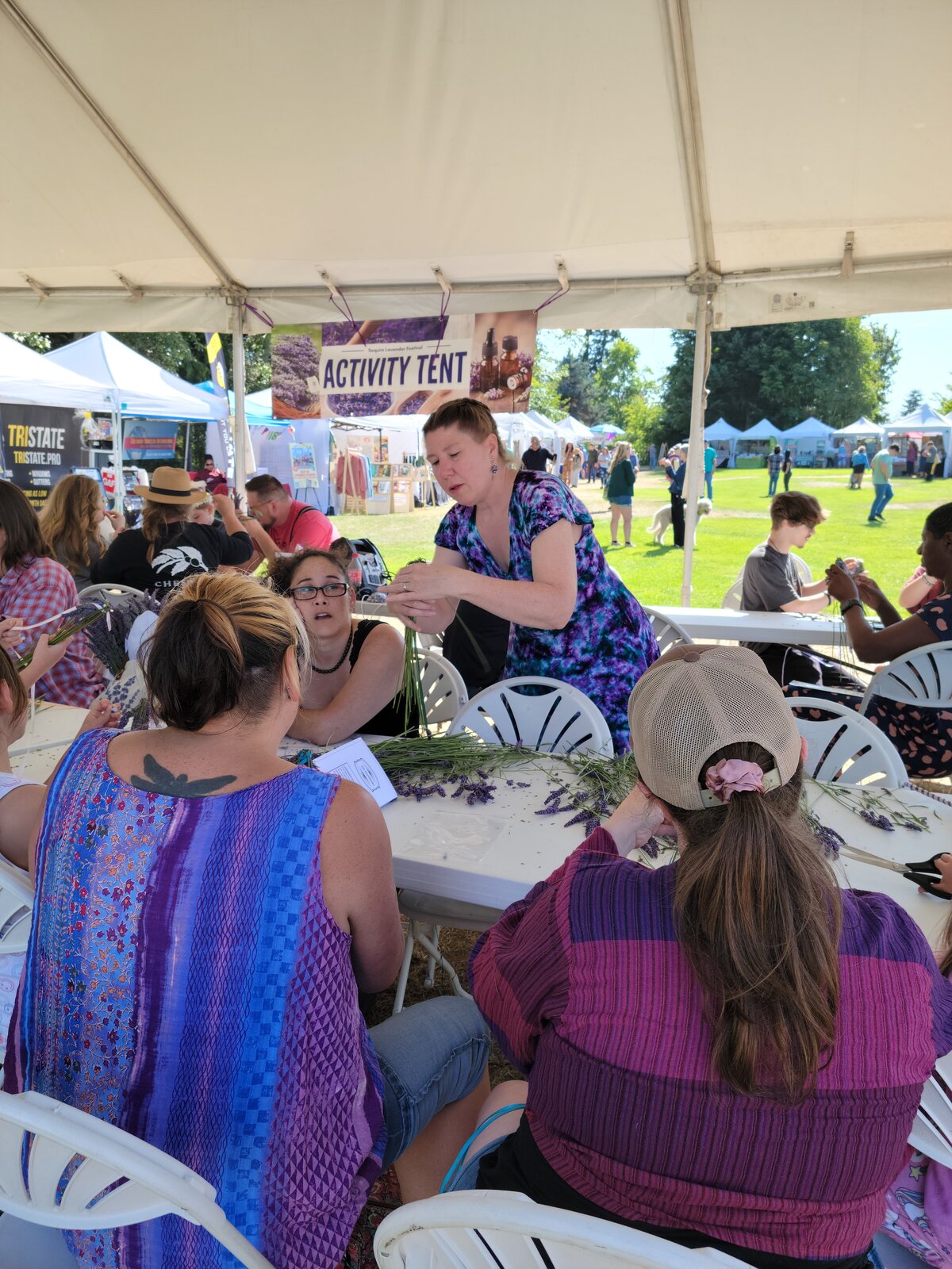 LavenderStock music stage with crowd, July 2025